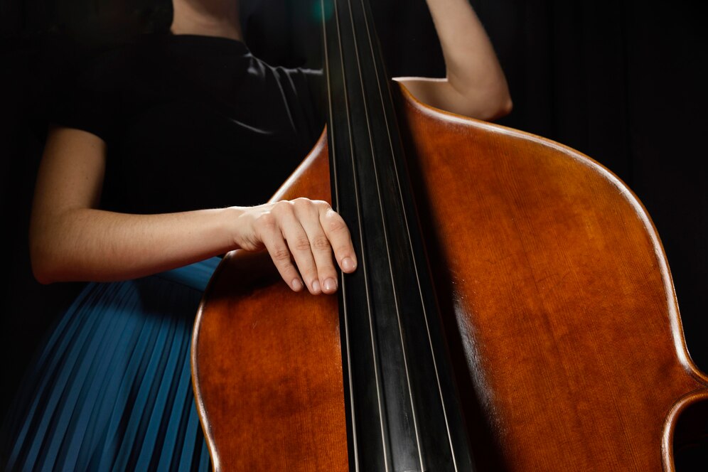 Curso de Violoncello — 12/08 (Tarde) — Parque Jaçatuba